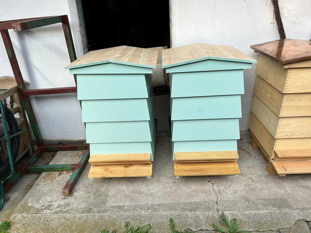 18785856 ede1 40d9 85cf 6e528994265e.jpeg